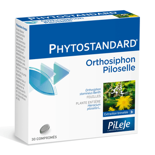 Phytostandard - Orthosiphon / Piloselle